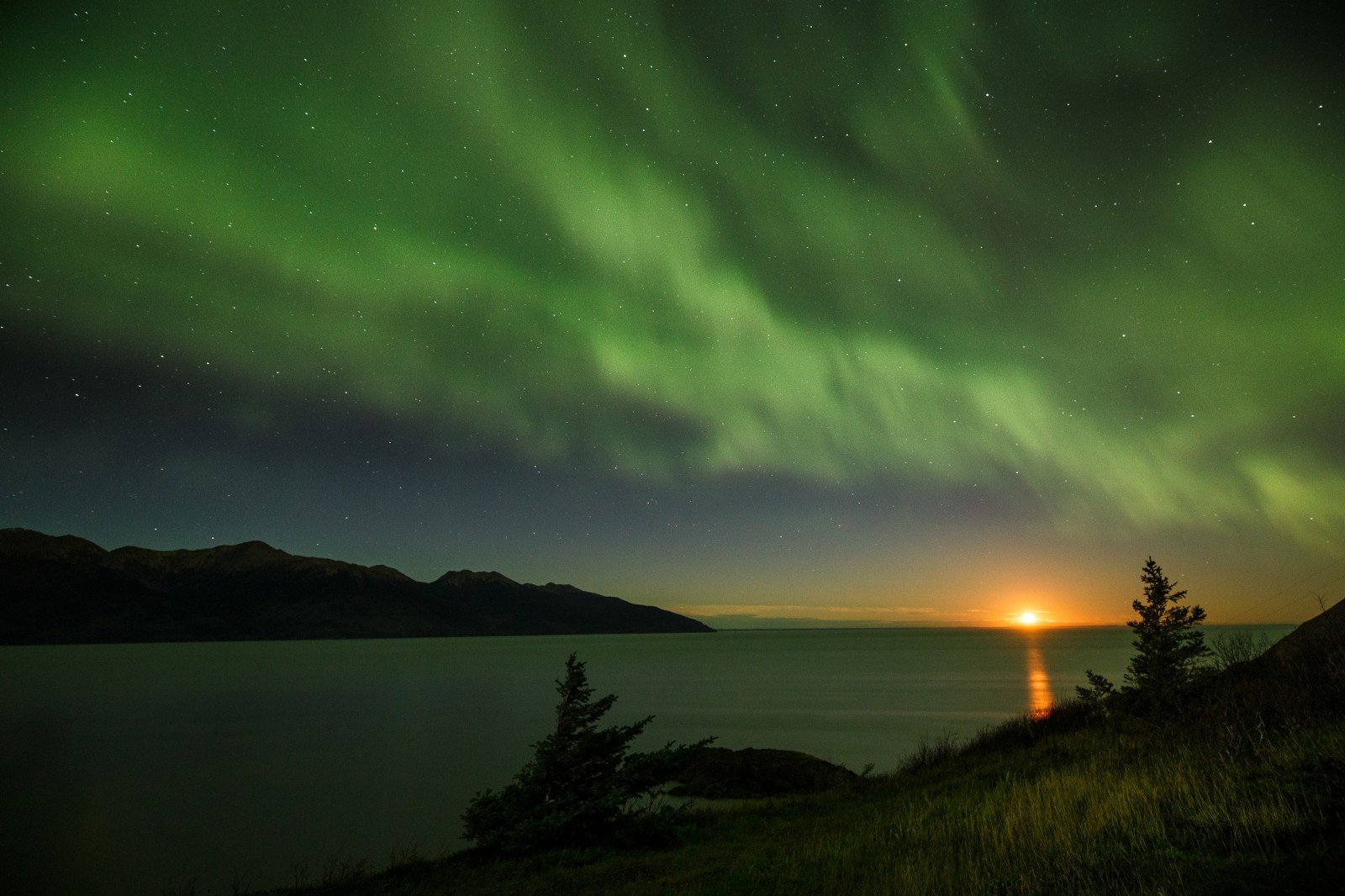 How a Real Alaskan Sees the Northern Lights
